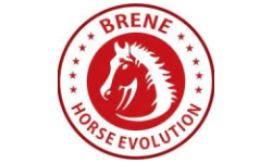 brene horse